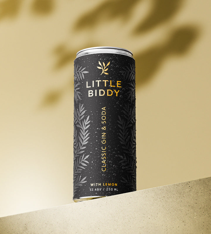 Little Biddy – Classic G&S with Lemon, 250ml (6x4 Pack)