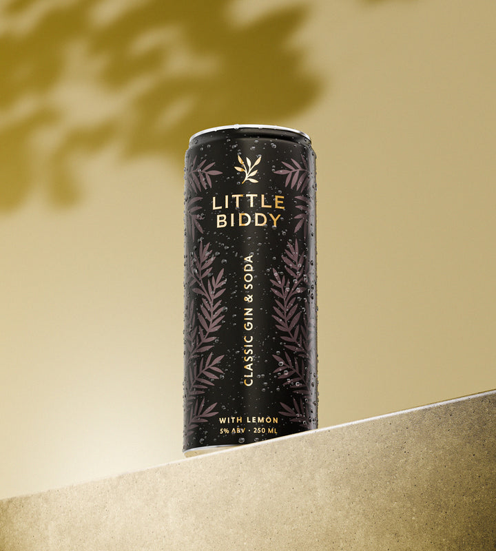 Little Biddy – Classic G&S with Lemon, 250ml (6x4 Pack)