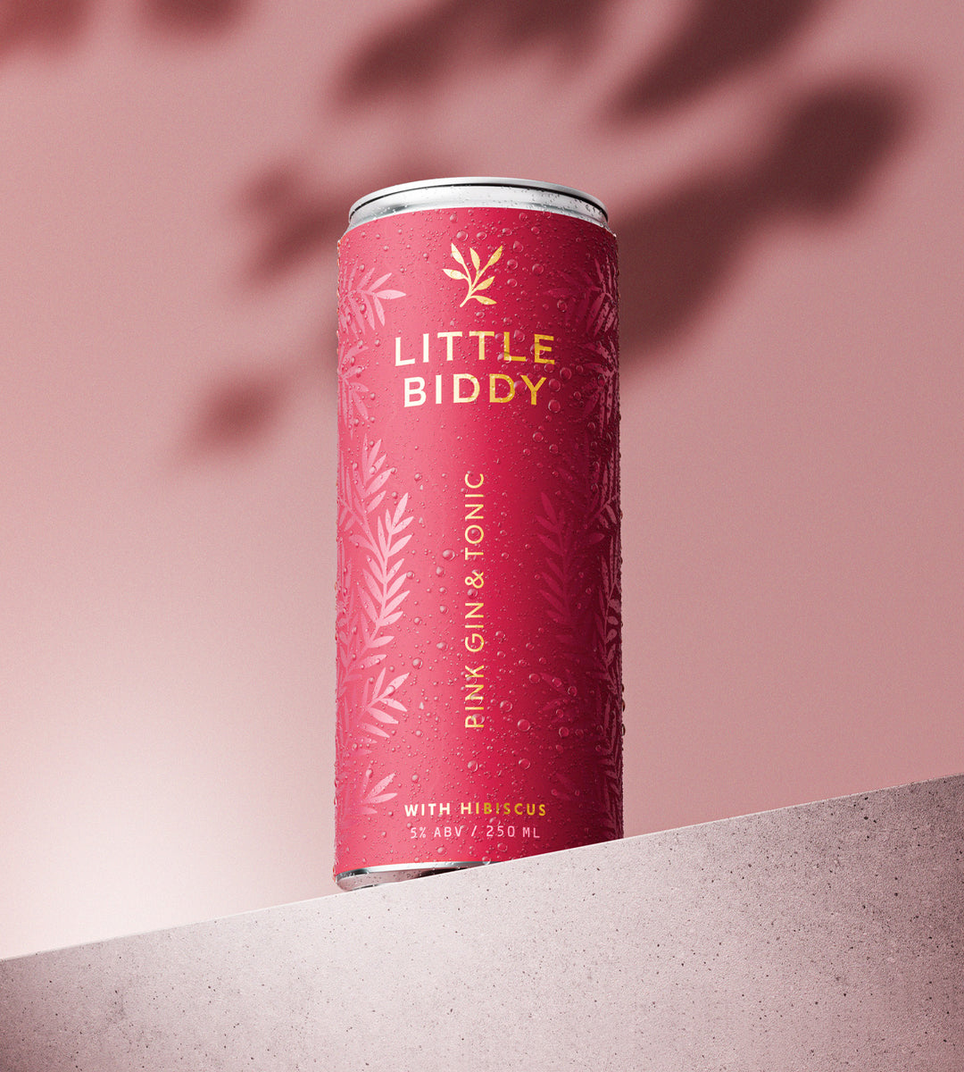Little Biddy – Mixed Case (6x4 Pack) w Pink Gin
