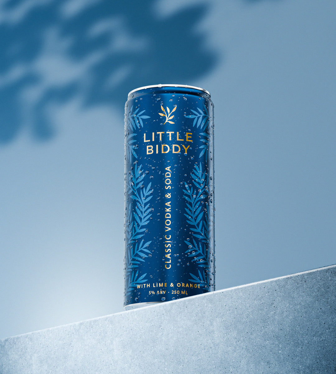 Little Biddy – Classic Vodka & Soda with Lime & Orange, 250ml (6x4 Pack)