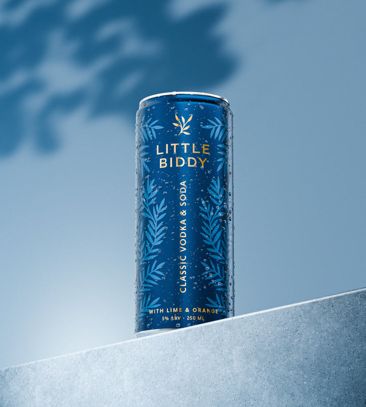 Little Biddy – Classic Vodka & Soda with Lime & Orange, 250ml (6x4 Pack)